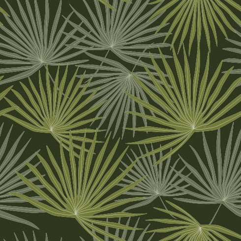 Palm Breeze Wallpaper