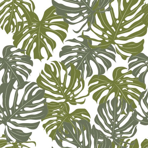 Monstera Muse Wallpaper