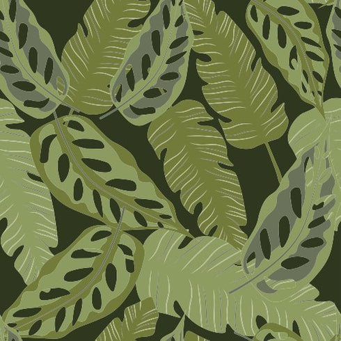 Green Canopy Wallpaper
