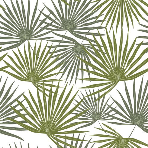 Palm Essence Wallpaper