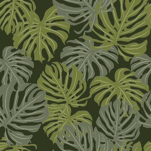 Monstera Dream Wallpaper